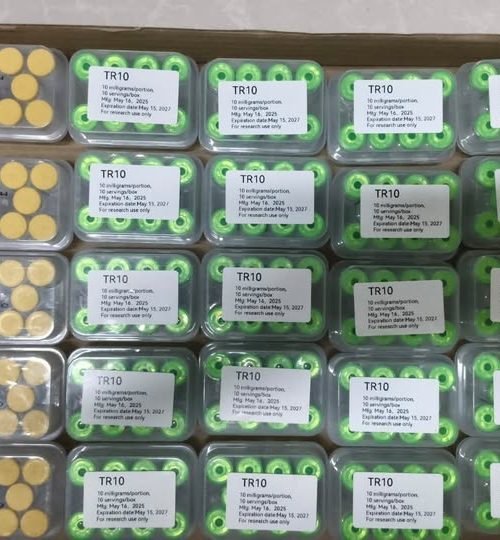 506052696_122203891628118402_393432463670908880_n